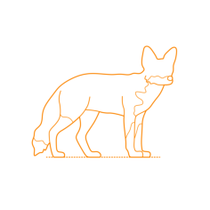 Animals Vulpini Red Fox Line Tracing Svg Vector, Free Vectors File